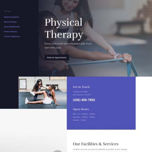 Physical Therapist